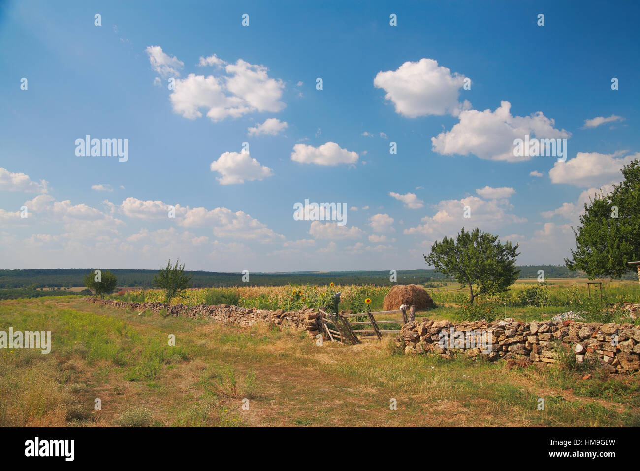 Paesaggio rurale, una recinzione fatta di pietra naturale, cortile rurale Foto Stock