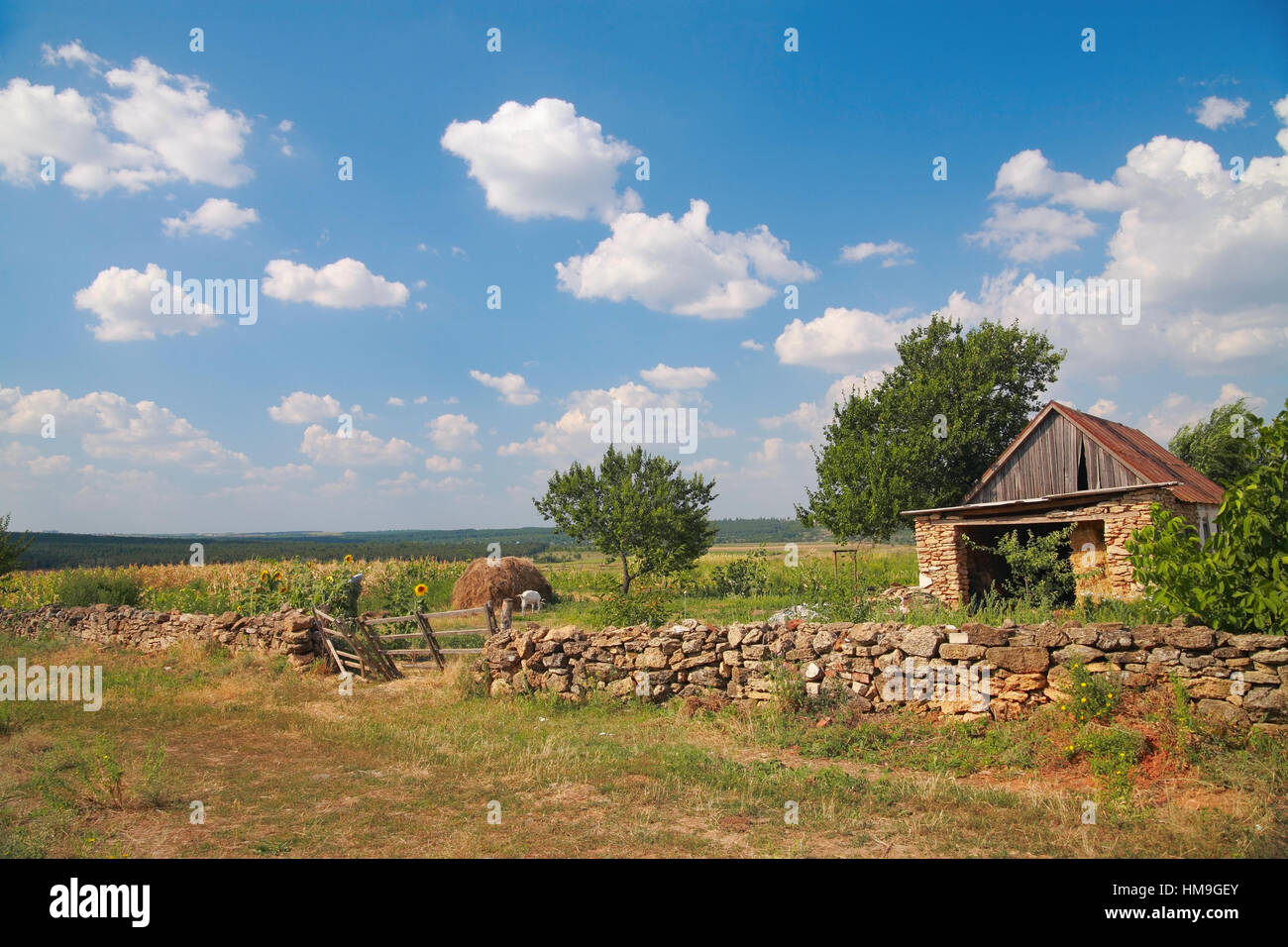 Paesaggio rurale, fattoria cortile rurale in estate Foto Stock