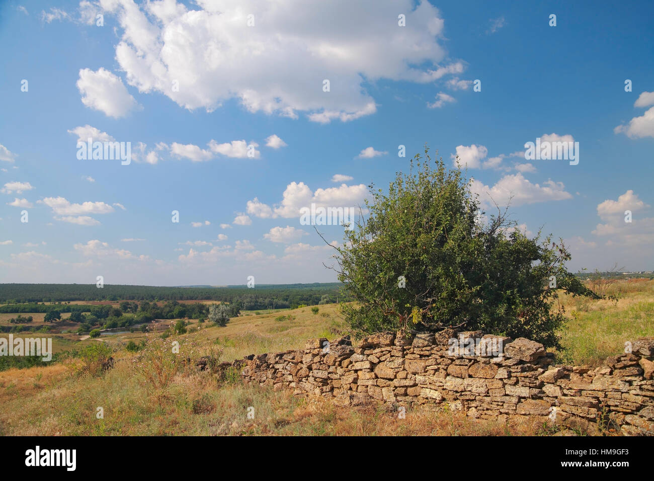 Paesaggio rurale, una rovina recinzione fatta di pietra naturale, Bush, pascoli, sullo sfondo del fiume e della foresta contro il cielo Foto Stock