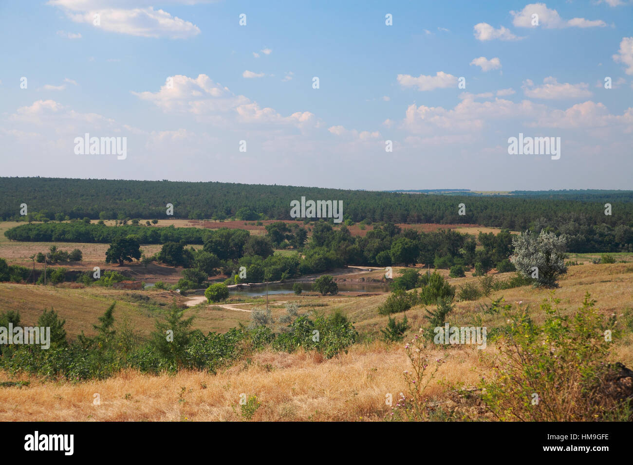 Paesaggio rurale, boccole, pascolo, sullo sfondo del fiume e della foresta contro il cielo blu con nuvole Foto Stock