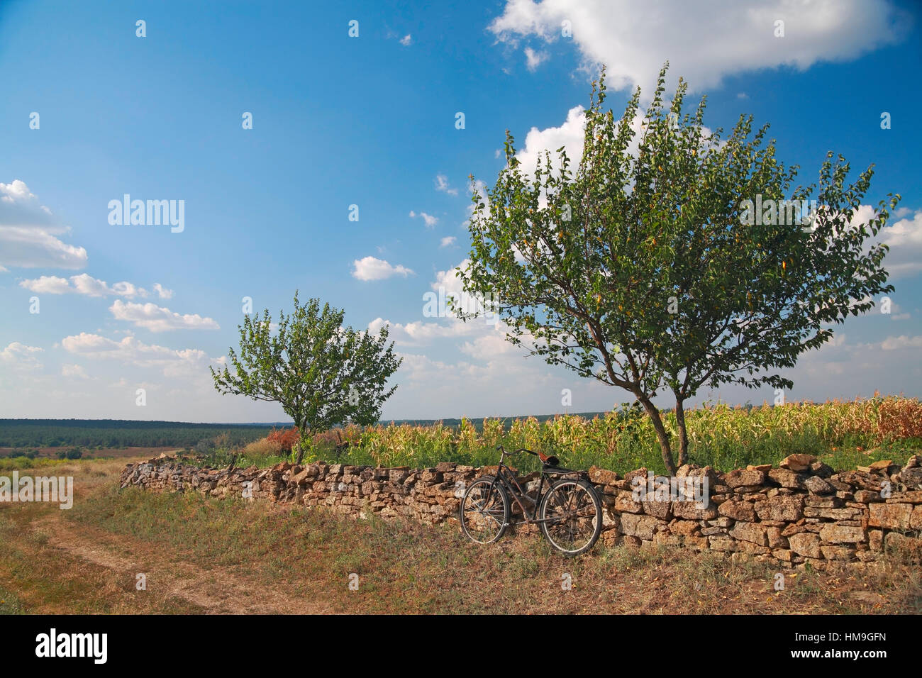 Paesaggio rurale, noleggio nei pressi del villaggio di recinzione in pietra in una giornata di sole Foto Stock