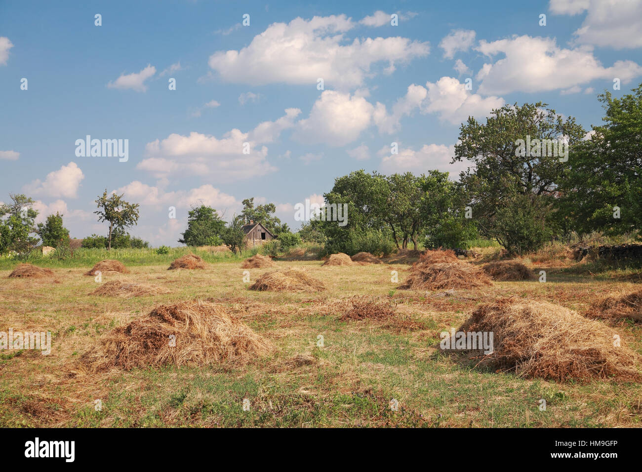 Paesaggio rurale, haycocks, alberi e il cielo con le nuvole Foto Stock