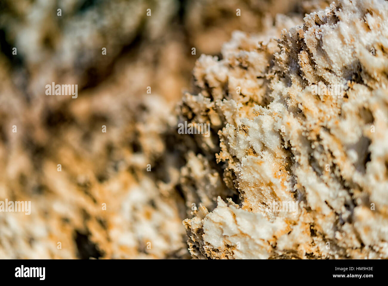 Incrinato salamoia di sale di tessitura macinata Close up, bad acqua sezione del parco nazionale della Valle della Morte 2, ca. Foto Stock
