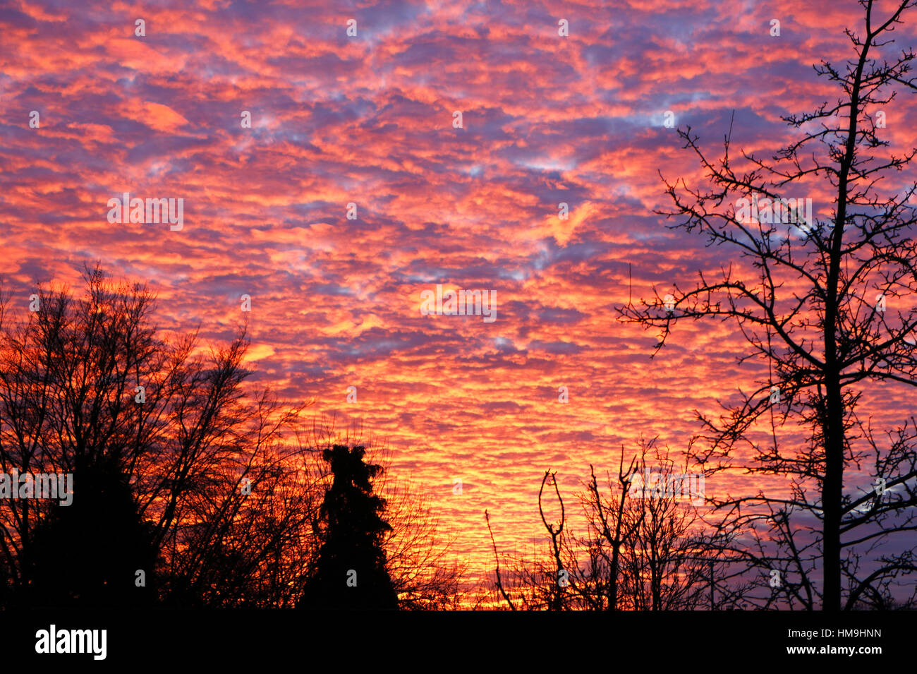 Una vivida winter Sunset over Hellesdon, Norfolk, Inghilterra, Regno Unito. Foto Stock