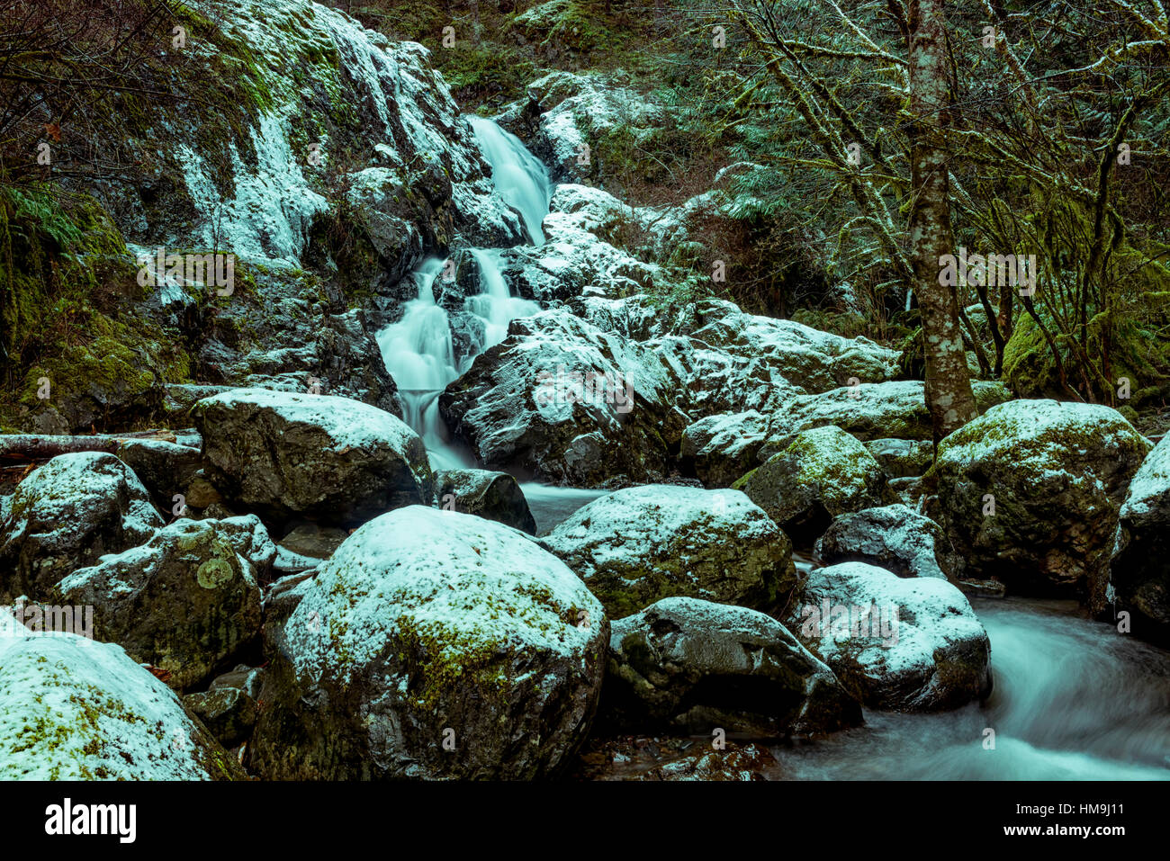 La natura dell'isola di Vancouver - Todd creek cascate dopo la prima neve. Buche parco provinciale 1. Foto Stock