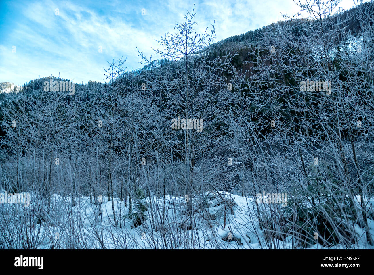 Inverno a Vancouver Island - Serie invernale vista montagna dopo la prima neve, Port Renfrew, Isola di Vancouver Foto Stock