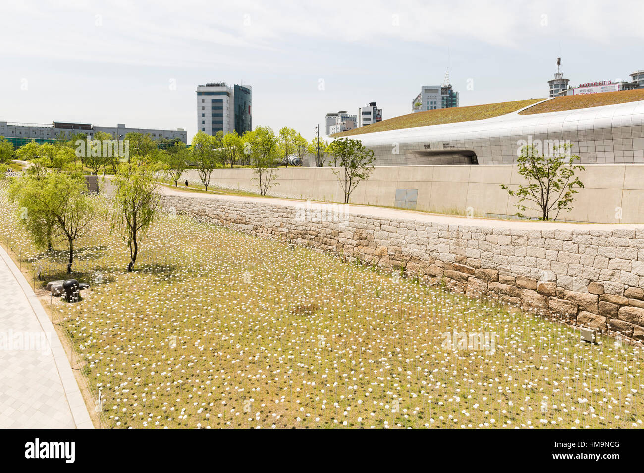 Fiore bianco giardino, Dongdaemun Storia & Cultura Park, design di Dongdaemun Plaza, Seoul, Corea del Sud. Foto Stock