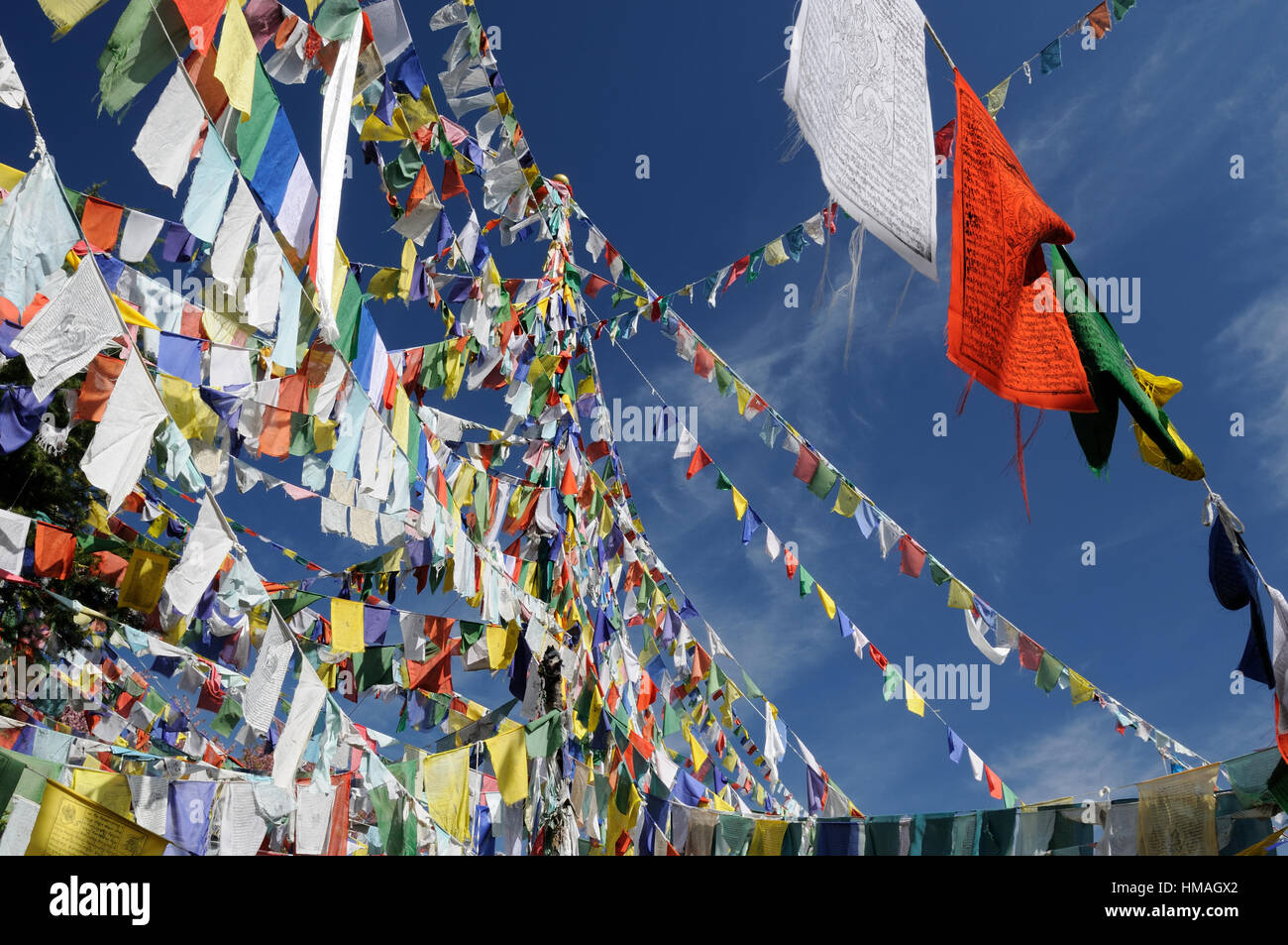 Una delle chiese più importanti per i Tibetani, Kalaczakra templi in Dharamsala, bandiere da preghiera buddista, McLeod Ganj, India Foto Stock