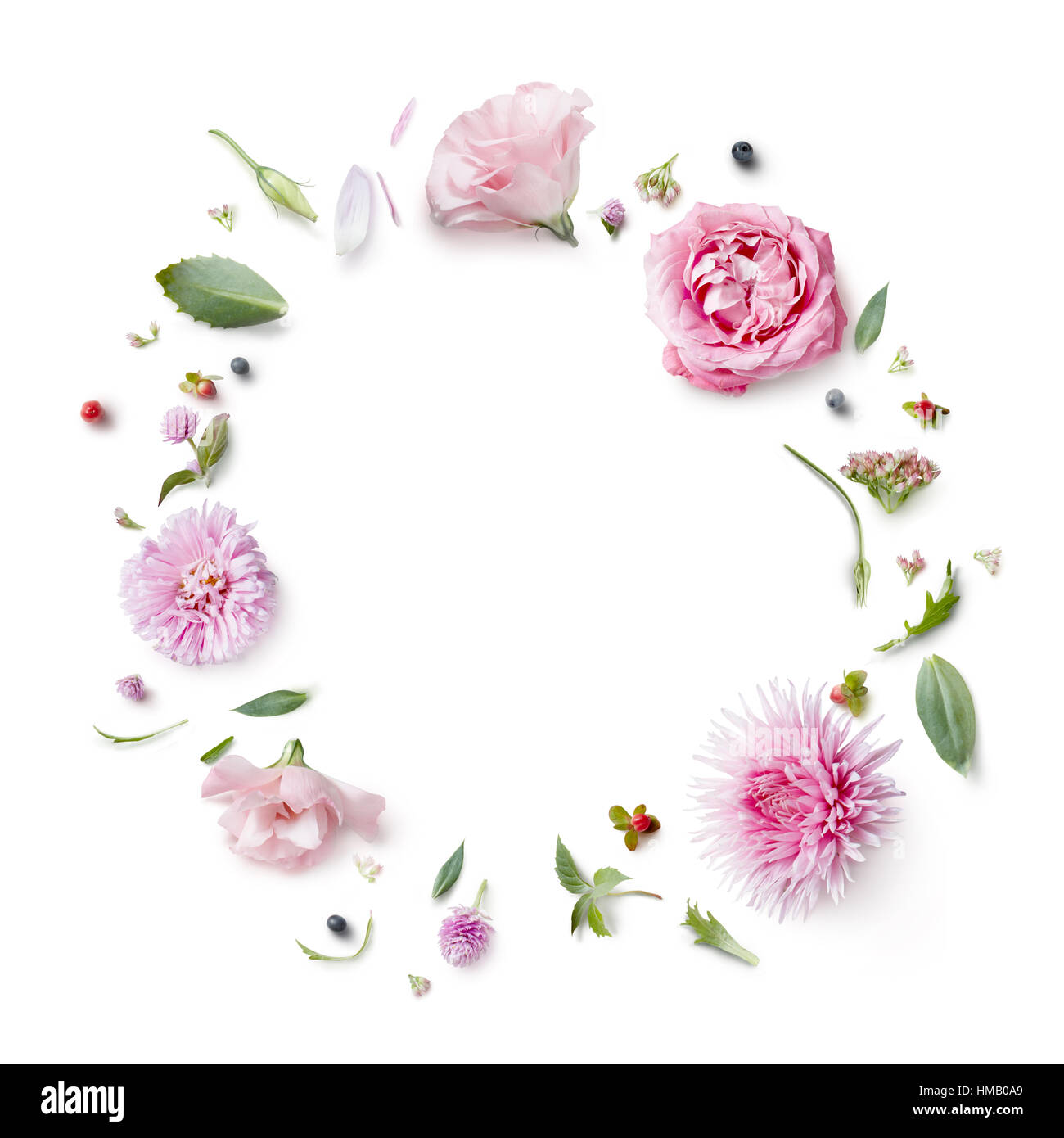 Biglietto di auguri con fiori di telaio isolato su bianco Foto Stock