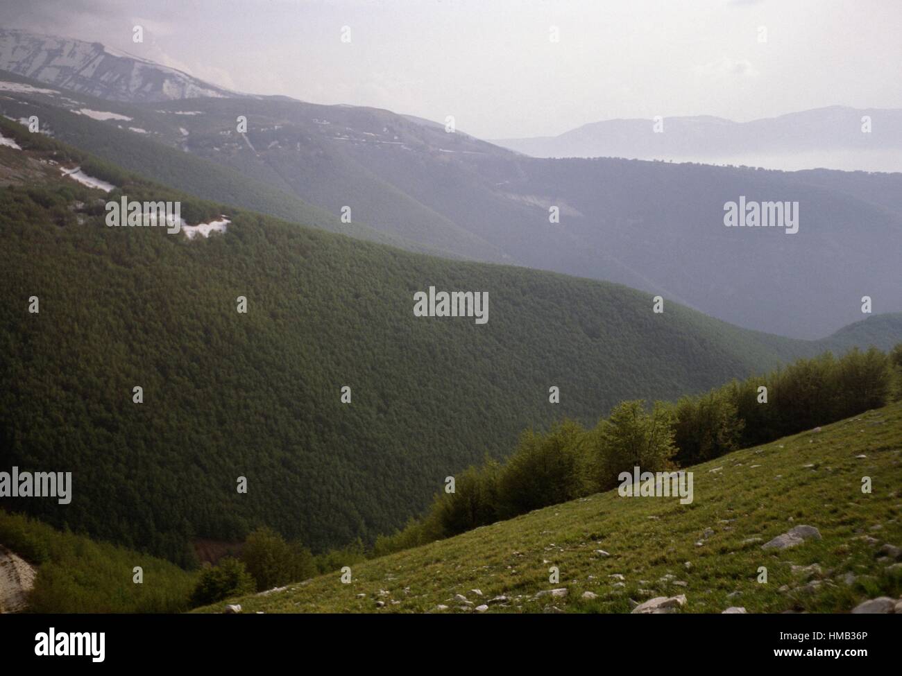 Boscose pendici del massiccio della Majella, cappucci parzialmente coperto di neve in background, il Parco Nazionale della Majella, Abruzzo, Foto Stock