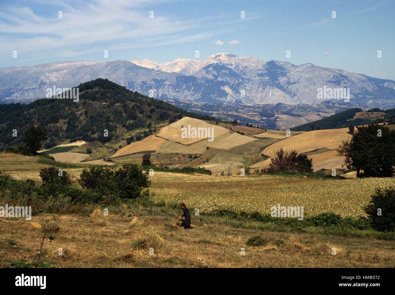 Campi coltivati con il massiccio della Majella in background, Parco Nazionale della Maiella, Maiella, Abruzzo, Italia. Foto Stock