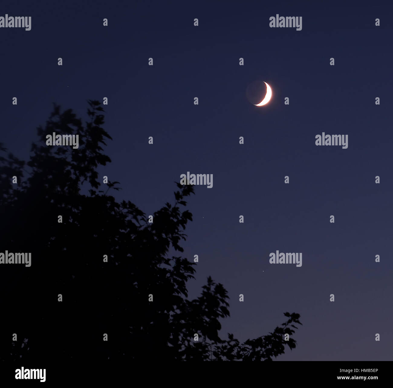 Notte di Luna Mezzaluna cielo scuro rosso cremisi chiaro crepuscolo Foto Stock