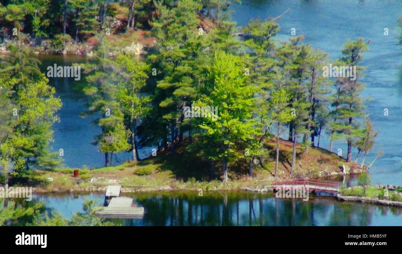 Isola alberi e il lago Foto Stock