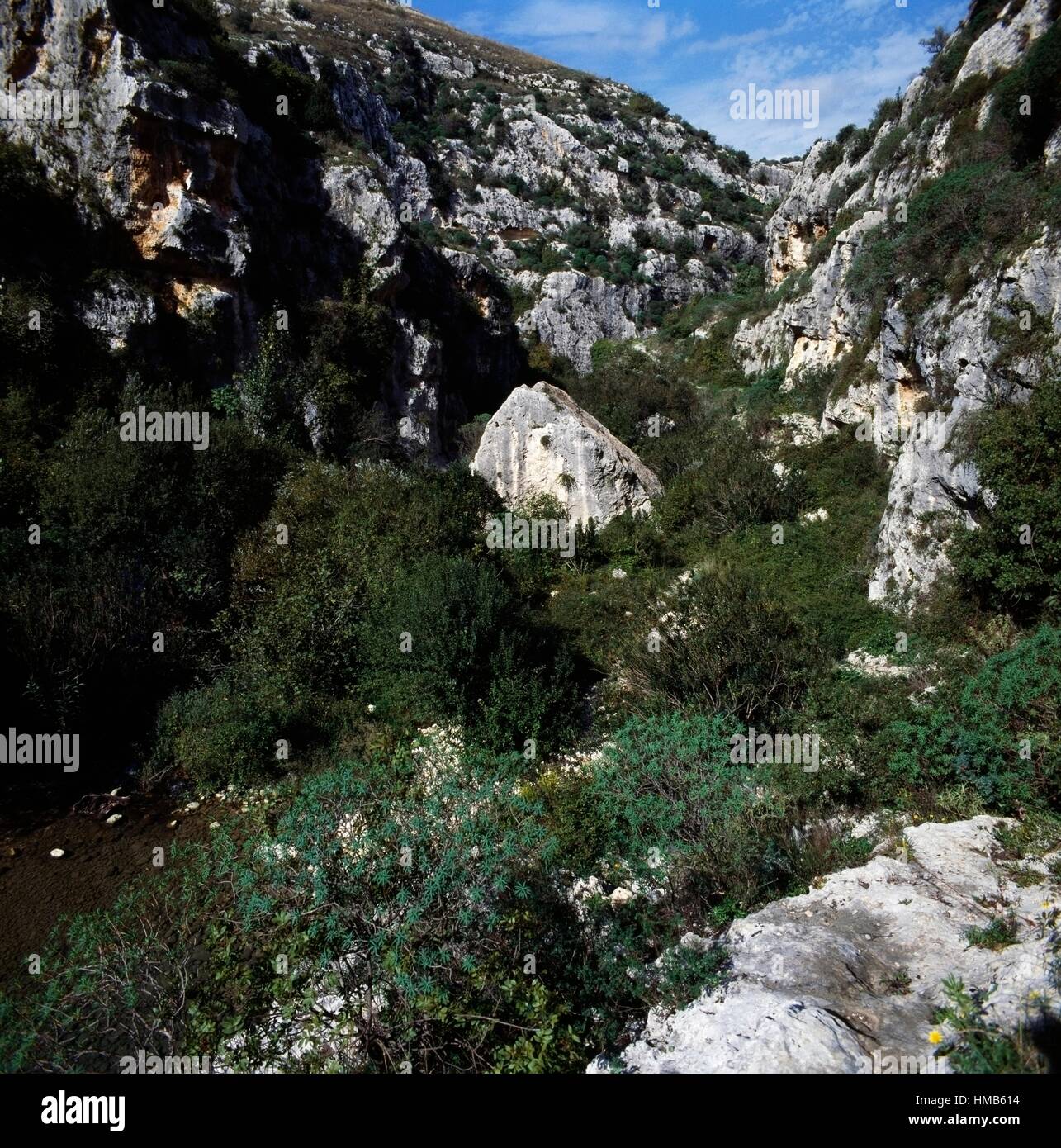 Paesaggio roccioso vicino alla necropoli di Pantalica, Pantalica Riserva Naturale Cava Grande torrente valle e l'Anapo Foto Stock