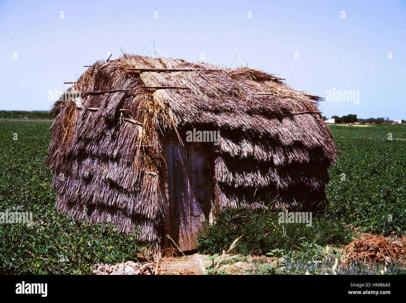 La paglia-Riparo coperto nei campi intorno a Lesina, puglia, Italia. Foto Stock
