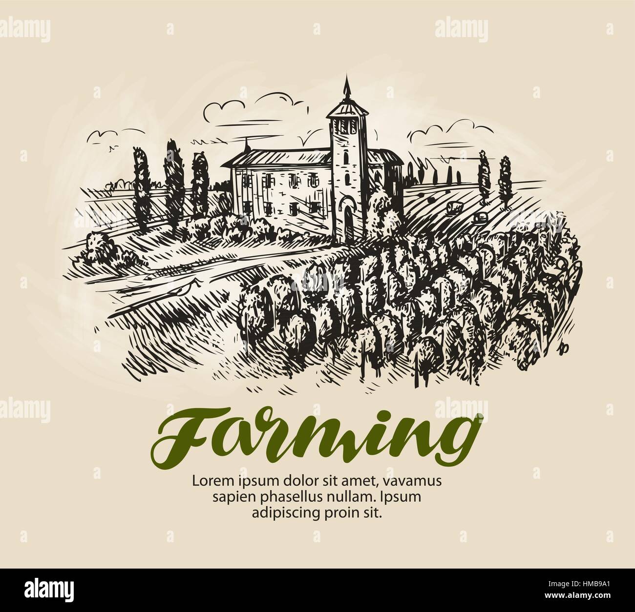 Schizzo del vigneto. Agriturismo, agricoltura illustrazione vettoriale Illustrazione Vettoriale