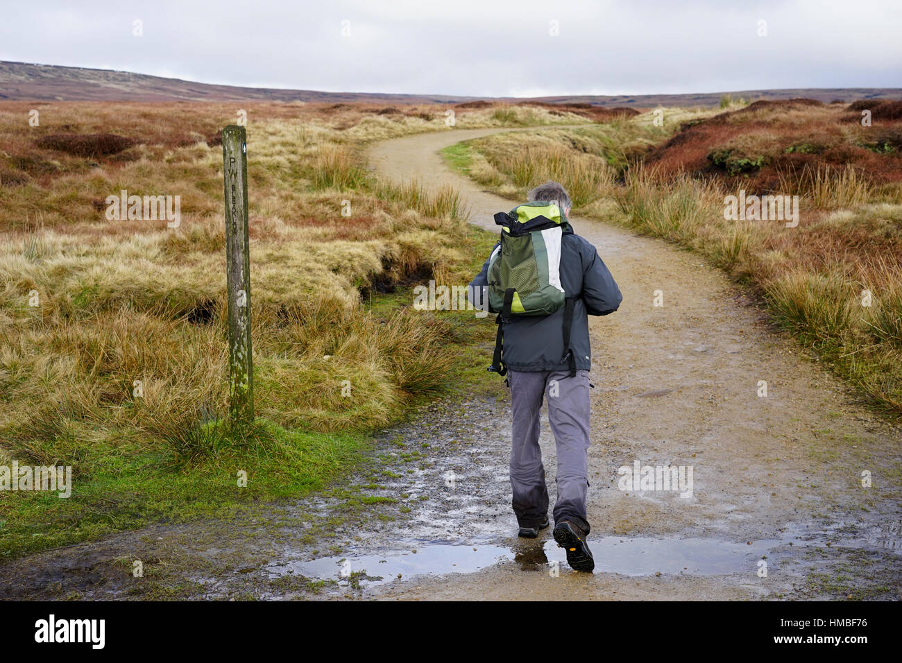 Pennine Way sentiero voce sulla speranza Woodlands Moor Bleaklow, Glossop,Peak District, Derbyshire, Regno Unito. Foto Stock