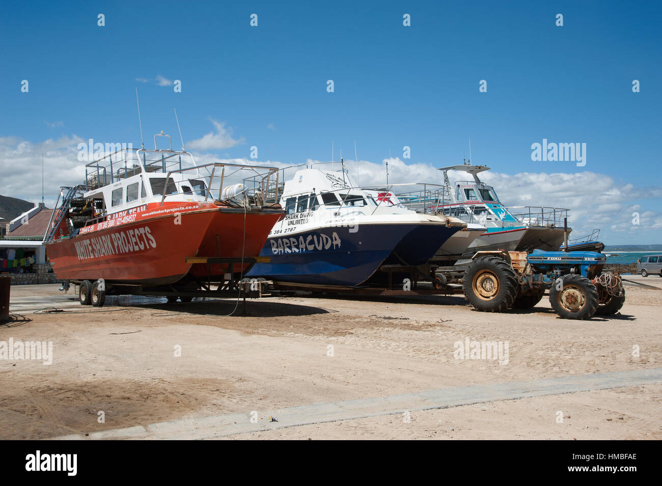 Il grande squalo bianco barche per immersioni a Kleinbaai Porto di Gansbaai nel Western Cape in Sud Africa. Immersione linea di imbarcazioni del porto. Foto Stock