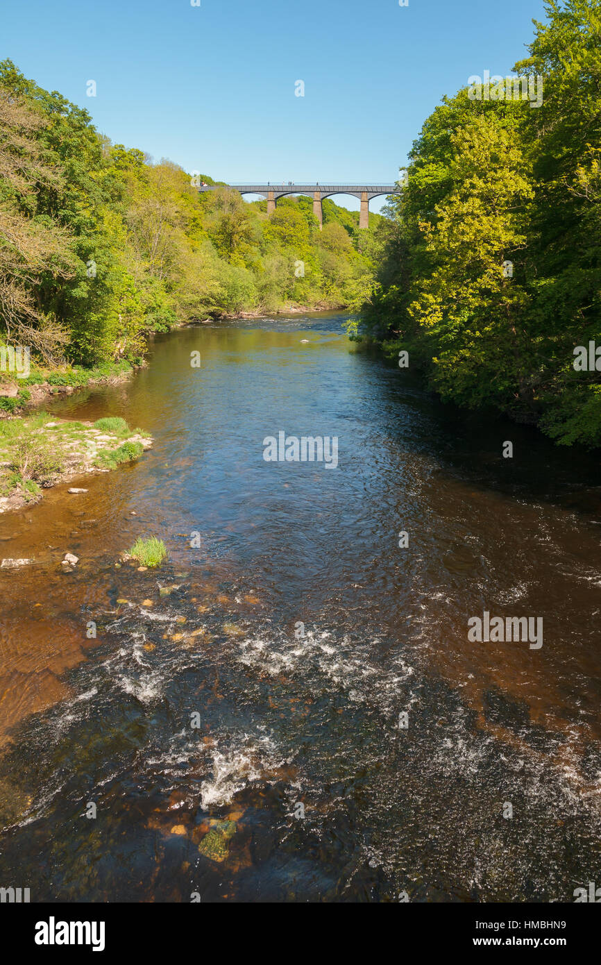 Il fiume Dee o Afon Dyfrdwy con il canale di Pontcysyllte acquedotto nel Galles del Nord costruito nel 1805 un sito del Patrimonio Mondiale Foto Stock