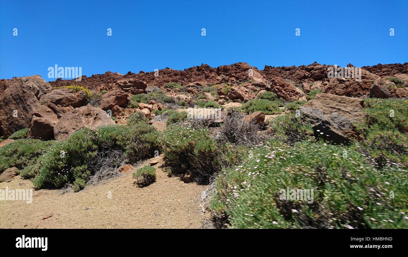 Caldera del Teide Tenerife Foto Stock