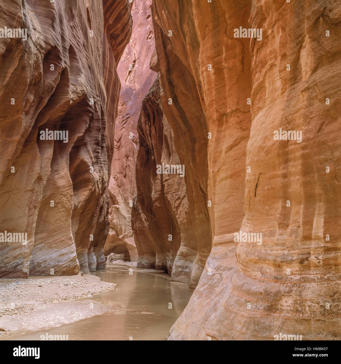 fiume paria nella sezione dei narghiles del canyon di paria-vermillion scogliere selvagge vicino kanab, utah Foto Stock