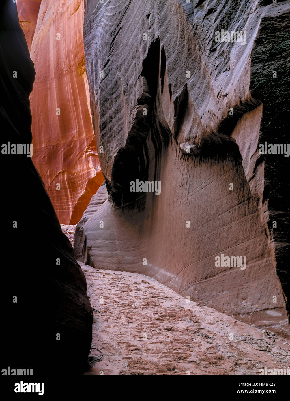 slot canyon su un affluente al fiume paria vicino a kanab, utah Foto Stock