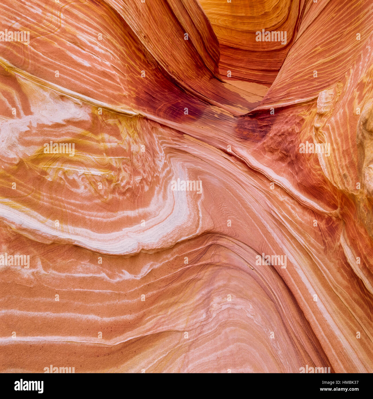 Vorticoso pareti di pietra arenaria lungo uno stretto passaggio nell'area delle forme d'onda del paria canyon - Vermillion Cliffs wilderness nel Northern Arizona Foto Stock