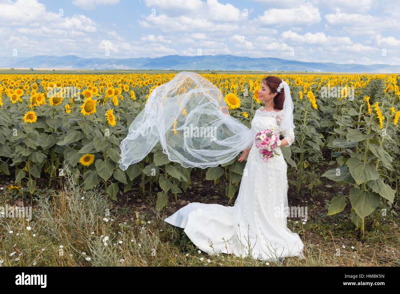 Giovane e bella sposa in posa di un campo di semi di girasole Foto Stock