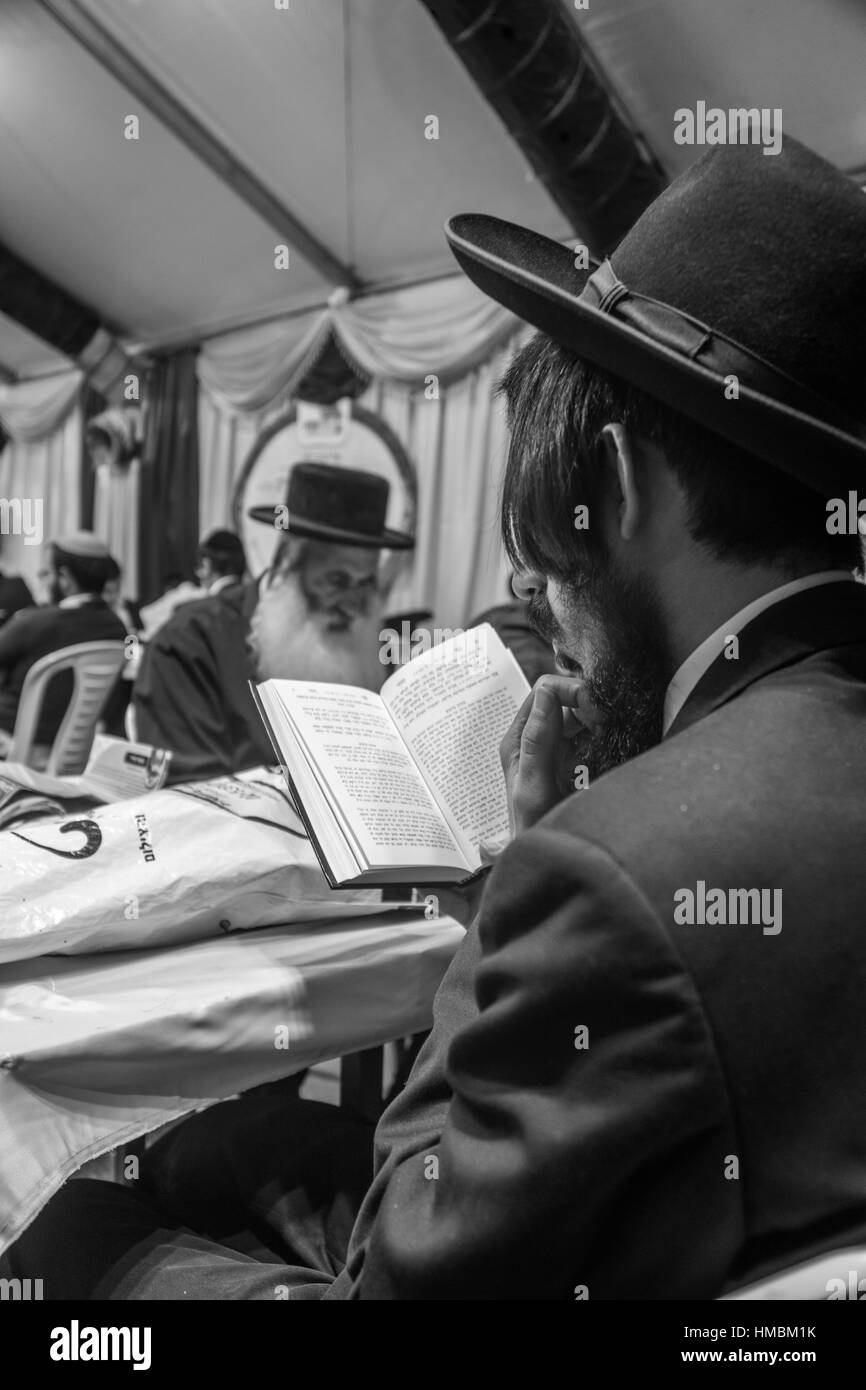 MERON, Israele - 26 Maggio 2016: una folla di Giudei ortodossi frequentano, leggere e NAP all'hillulah annuale del Rabbino Shimon bar Yochai, in Meron, Israele, su La Foto Stock