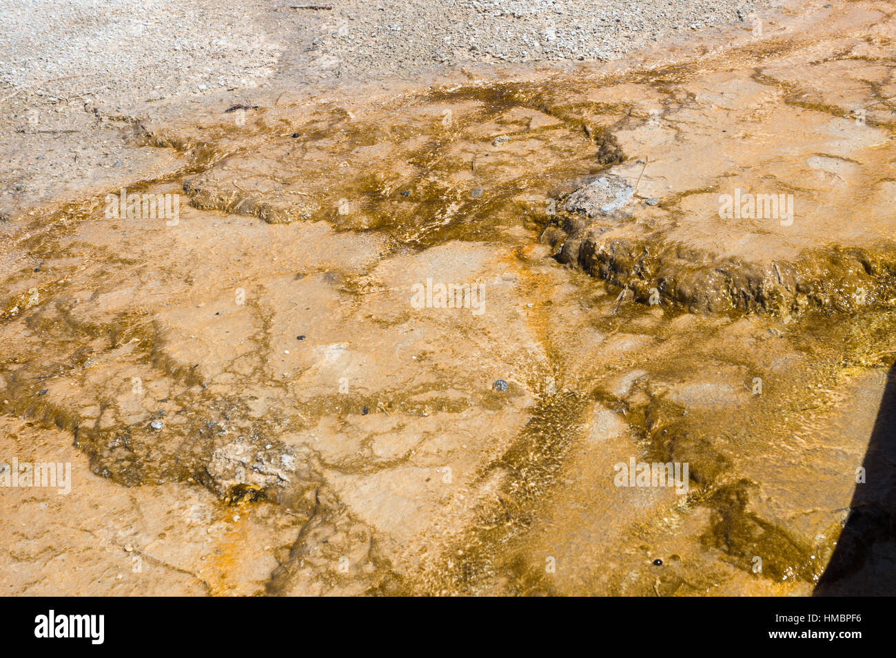 Fontana vaso di vernice Trail e il Parco Nazionale di Yellowstone, Wyoming Foto Stock