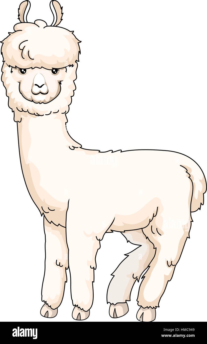 Illustrazione degli animali di un simpatico Alpaca peloso con spessore di rivestimento bianco guardando indietro Foto Stock