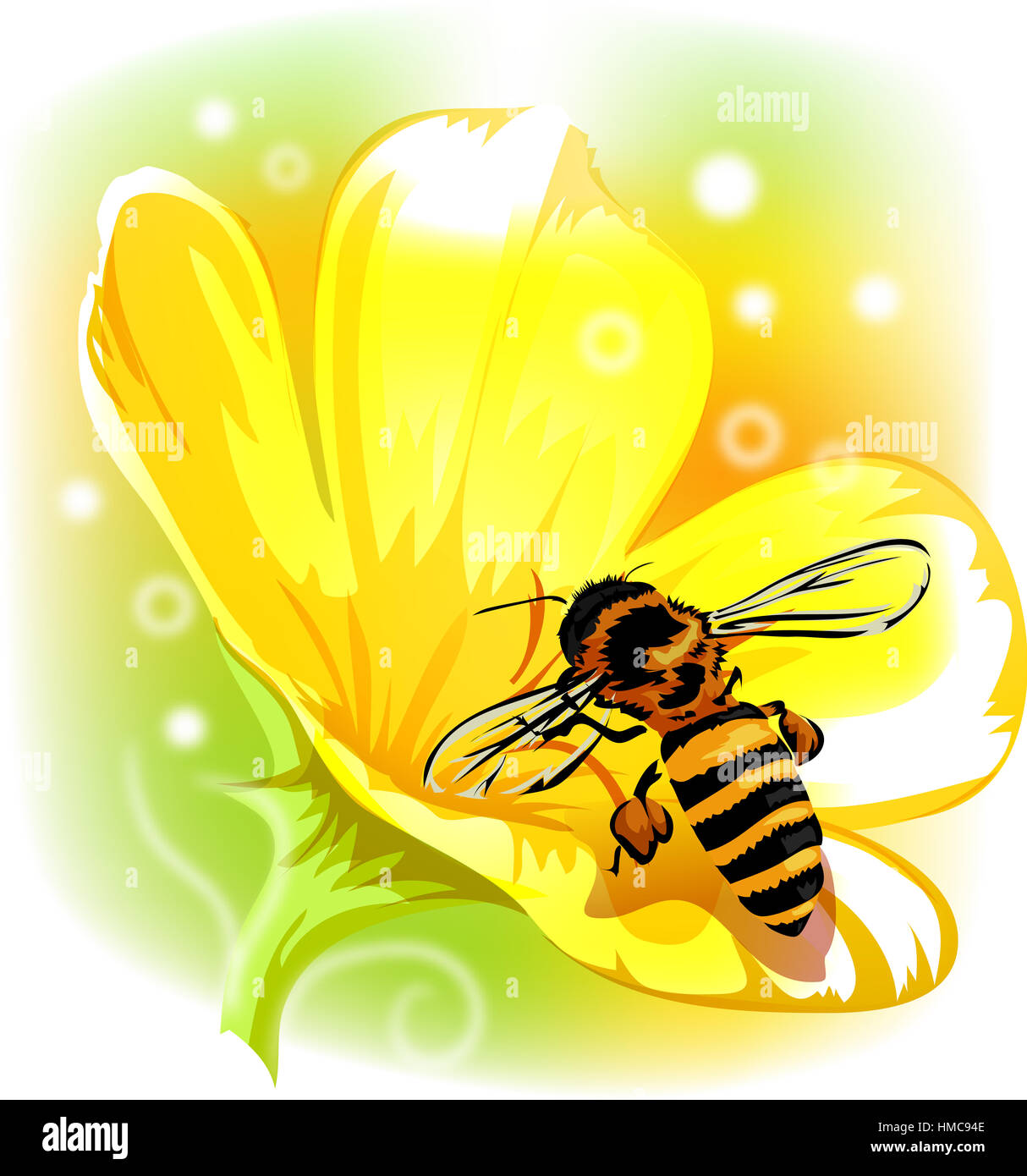 Whimsical Illustrazione degli animali di un ape succhia il nettare da un fiore giallo Foto Stock