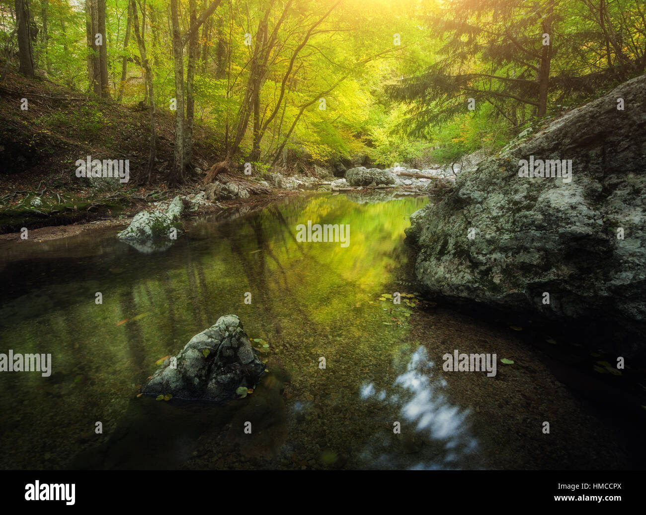 La foresta e il fiume di montagna al tramonto. Paesaggio colorato con il verde della foresta, fiume, pietre, sassi e giallo sole Foto Stock