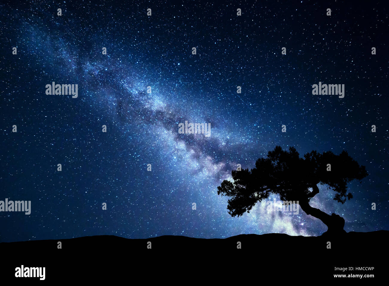 Albero contro la Via Lattea. Paesaggio notturno. Notte scenario colorato. Cielo stellato in estate. Bella universo. Sfondo spazio Foto Stock