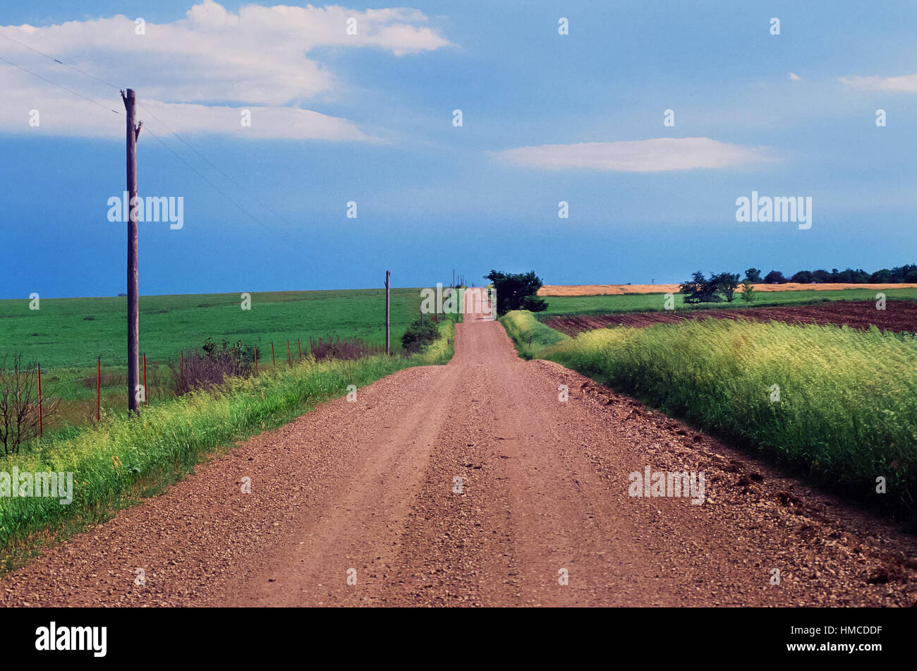 La sporcizia backroad attraverso Kansas terreni coltivati, STATI UNITI D'AMERICA. Foto Stock