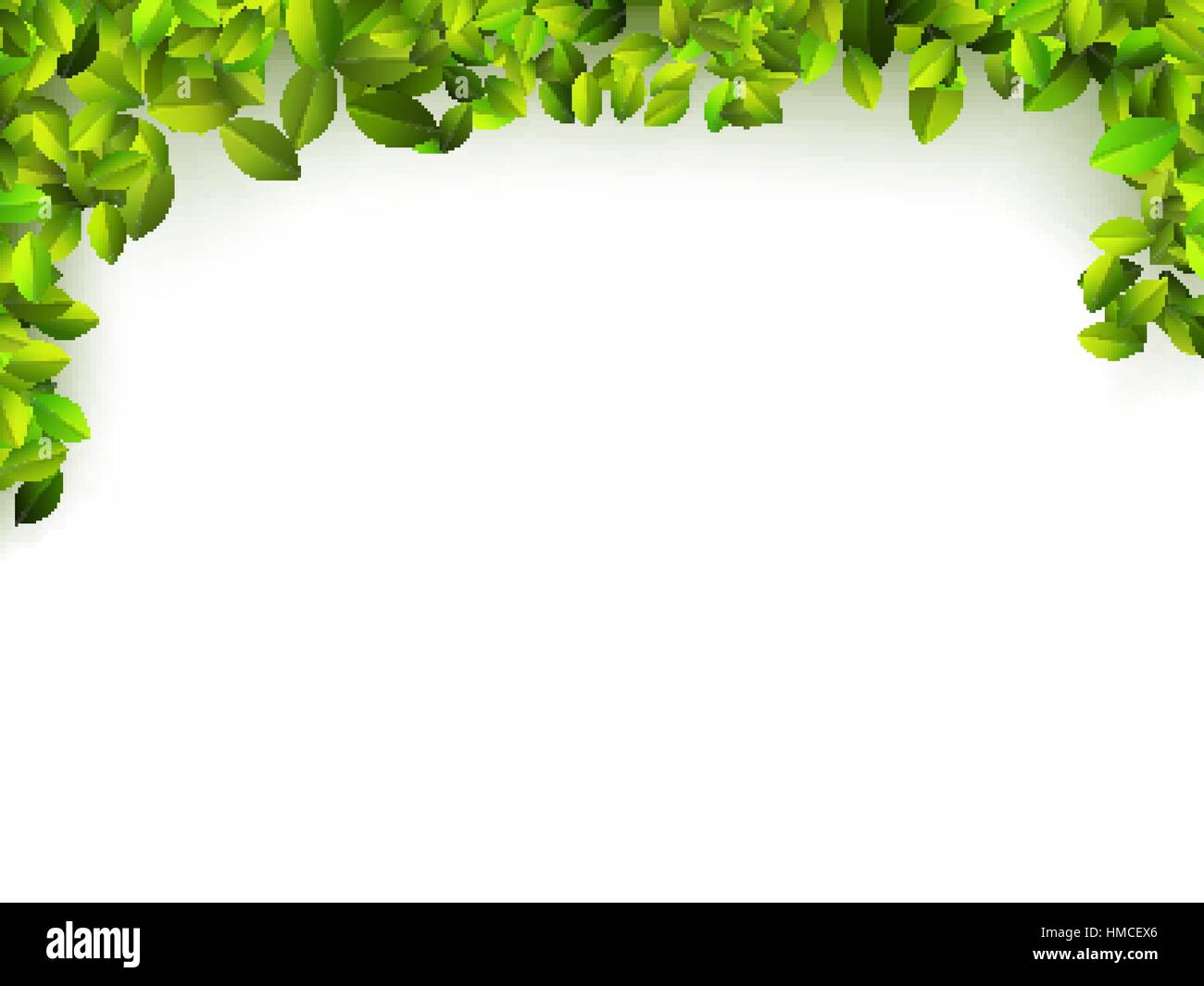 Naturale sfondo verde isolato su bianco. + EPS10 file vettoriali Illustrazione Vettoriale