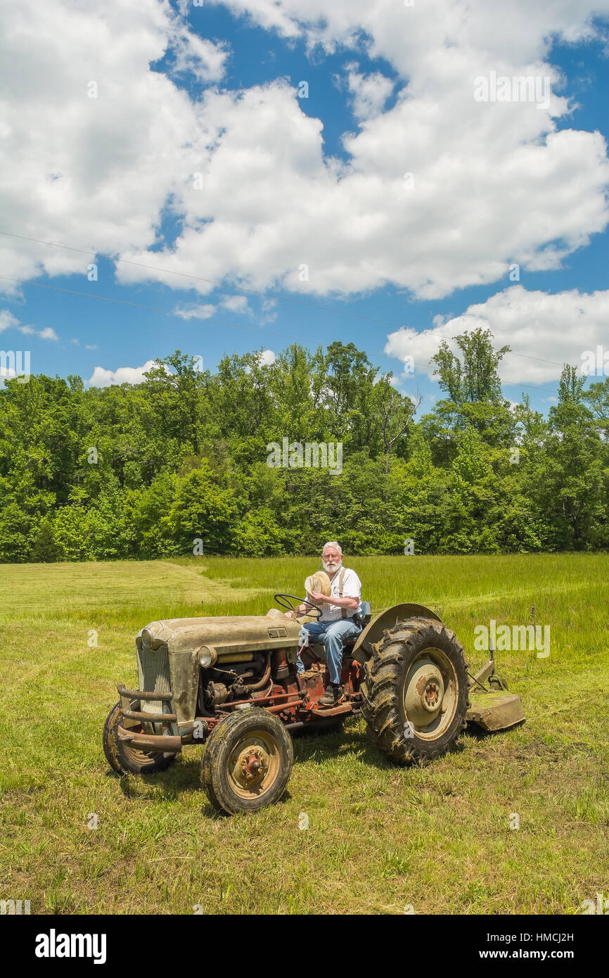 Un uomo con un trattore d'epoca a tagliare un hayfield. Foto Stock