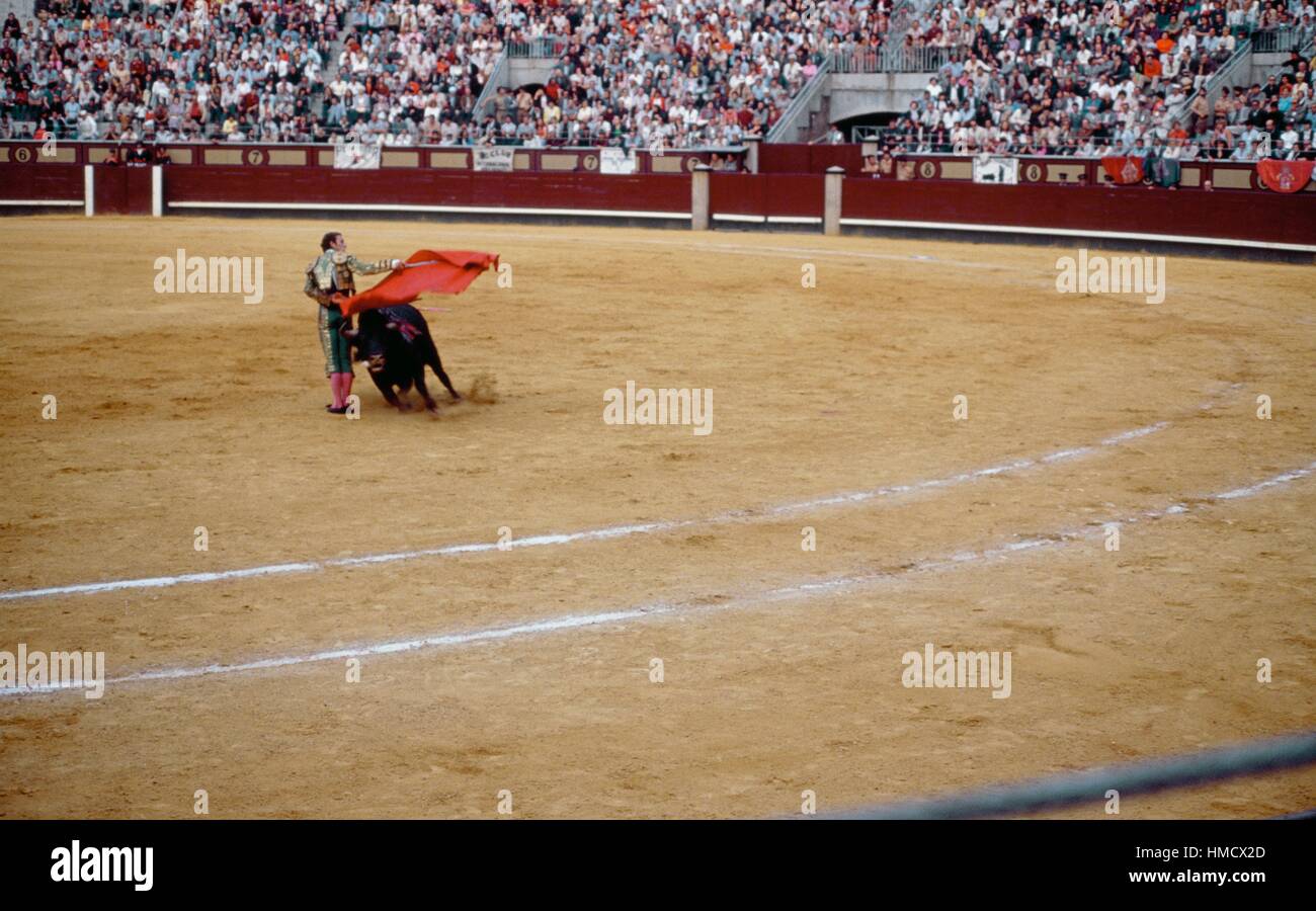 Torero in azione utilizzando il muleta (capo con stick), la corrida scena, Madrid, Spagna. Foto Stock