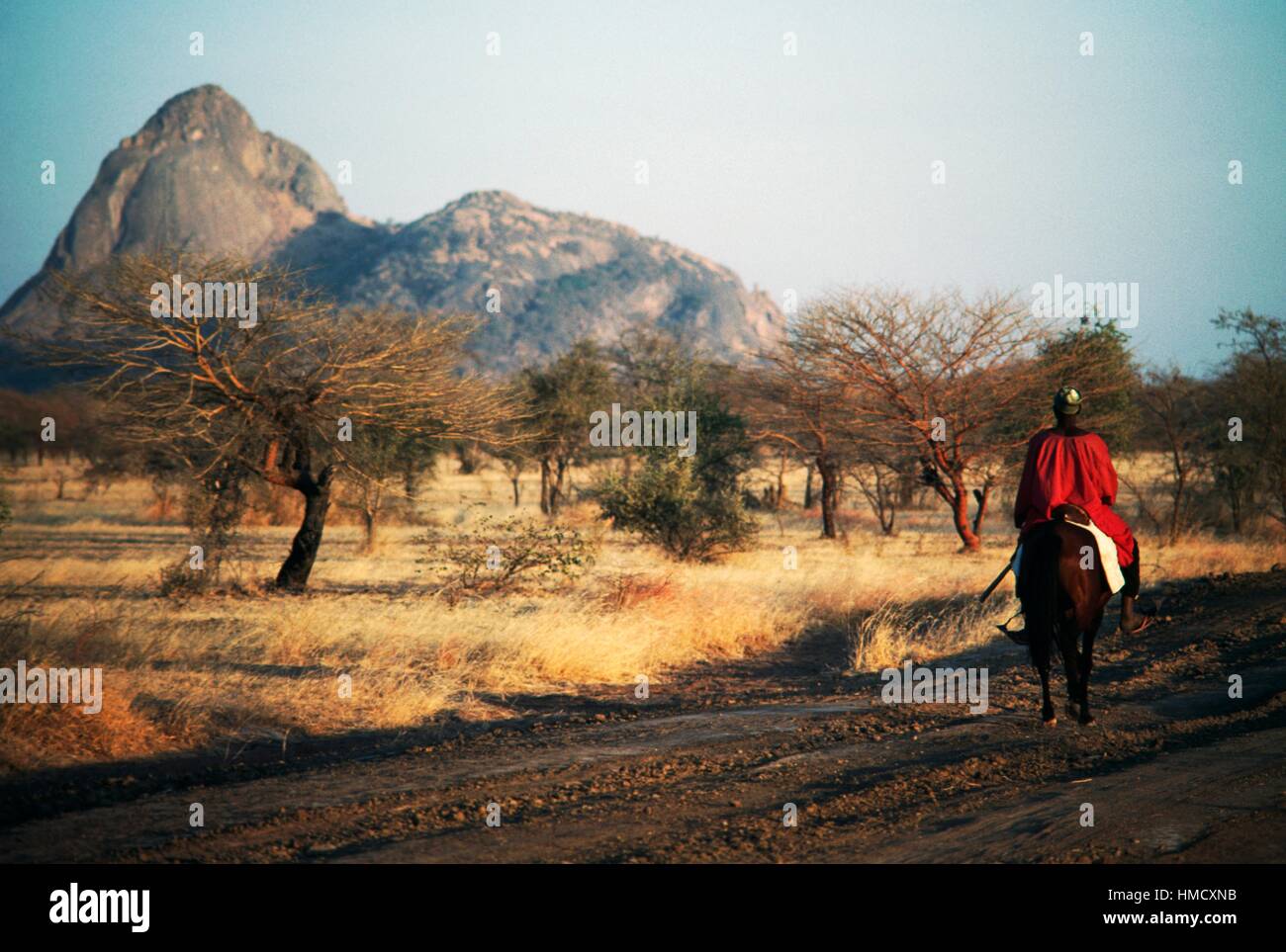 Un uomo a cavallo con picco Mindif in background, Camerun. Foto Stock