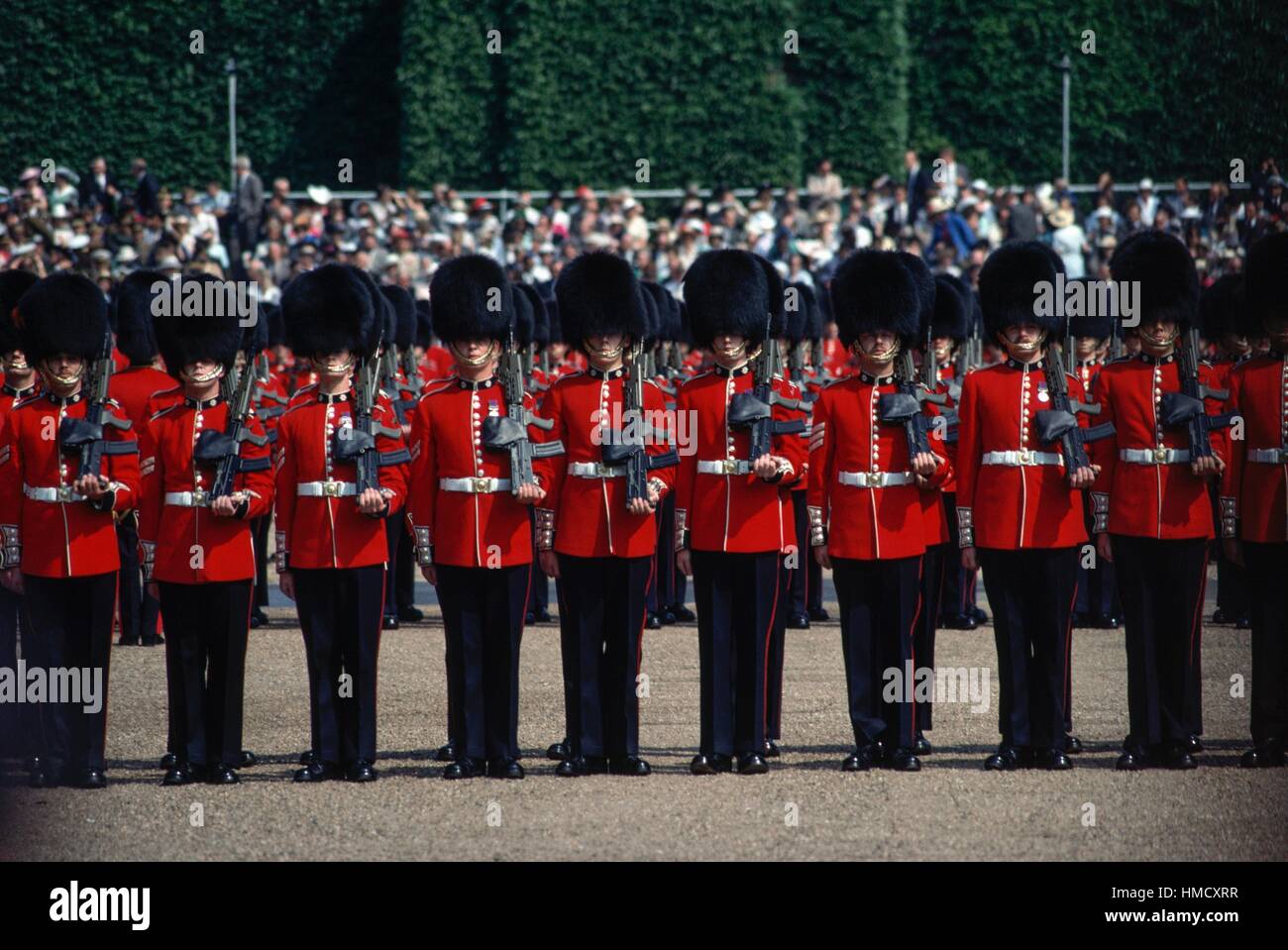 La Guardia reale in formazione durante il Trooping il colore (cerimonia ufficiale per il sovrano il compleanno), Londra, Inghilterra Foto Stock