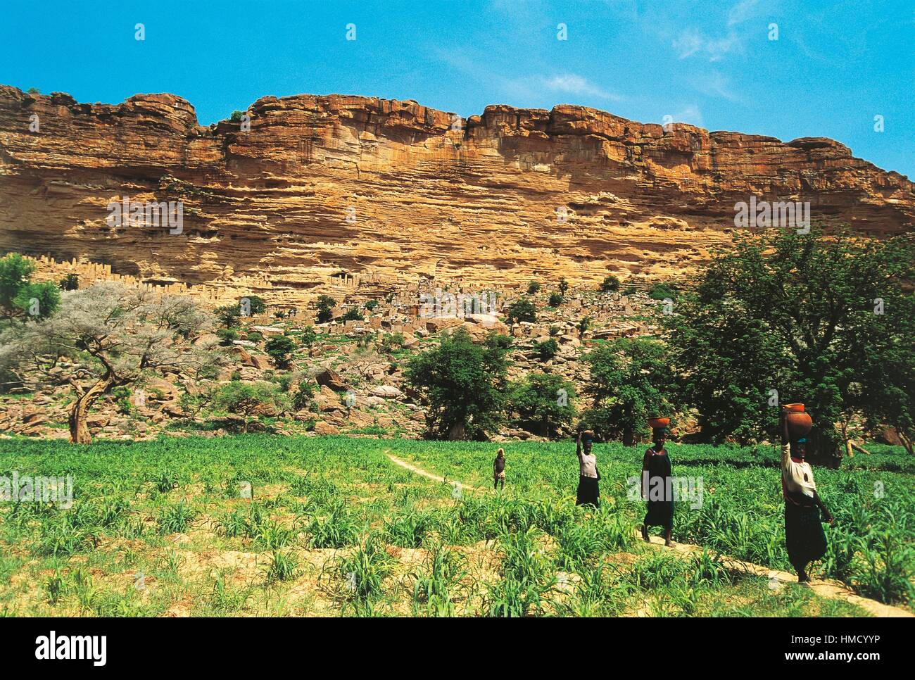 Le donne con contenitori sulle loro teste, villaggio Dogon di Tirelli con la scarpata Bandiagara in background (patrimonio mondiale Foto Stock