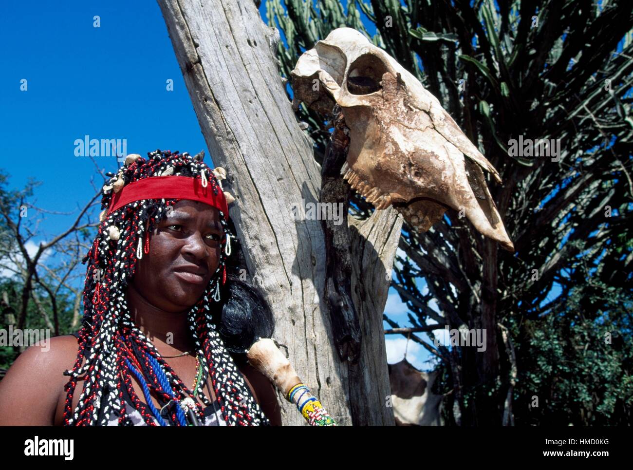 Un Sangoma (sciamano o guaritore), villaggio Zulu, KwaZulu-Natal, in Sudafrica. Foto Stock