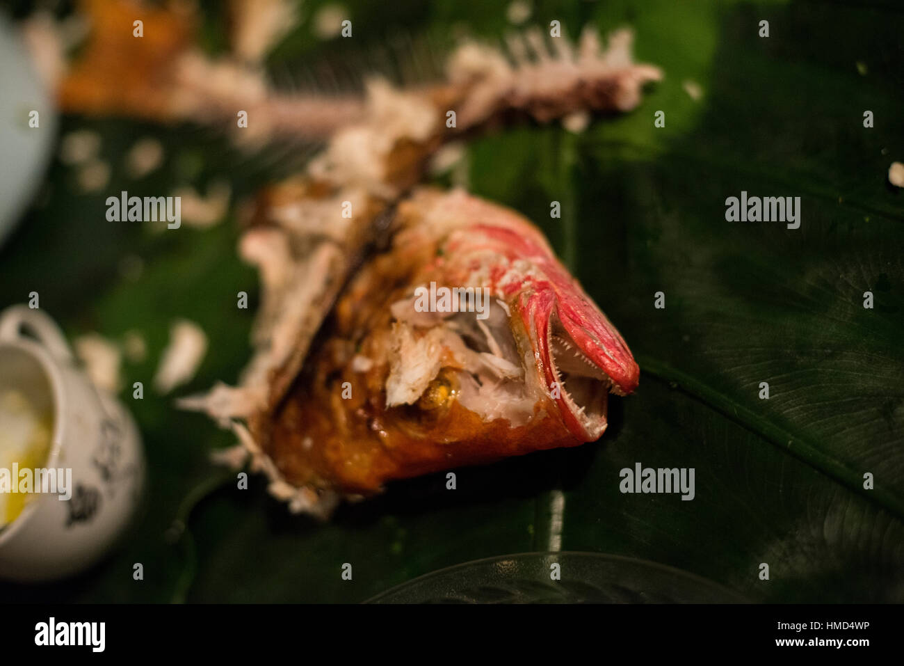 dopo il pasto di pesce Foto Stock