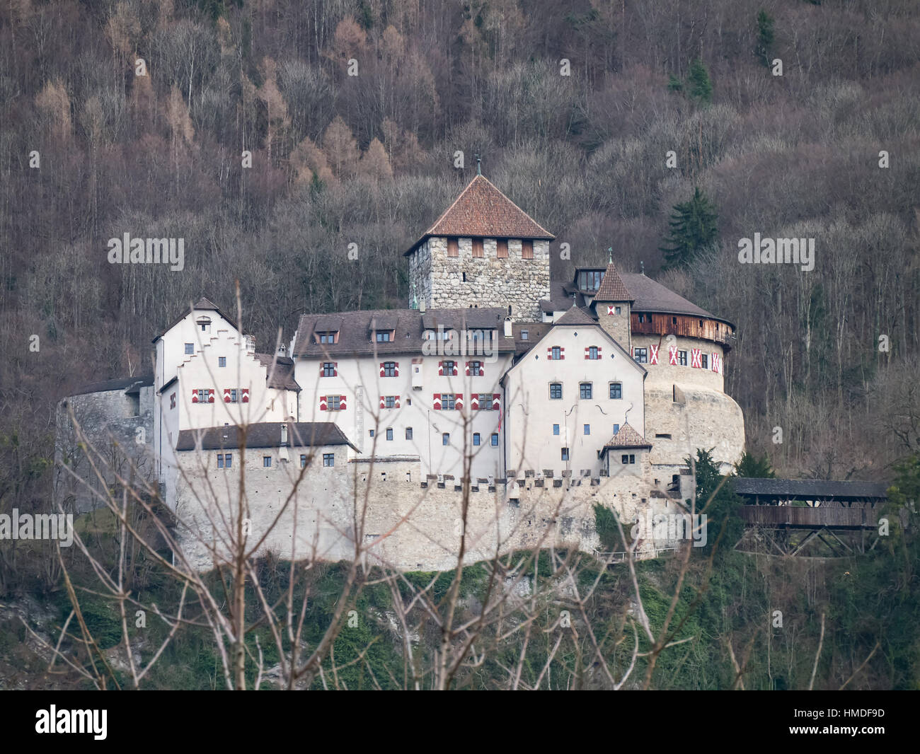 Il castello di Vaduz nel Liechtenstein. Foto Stock