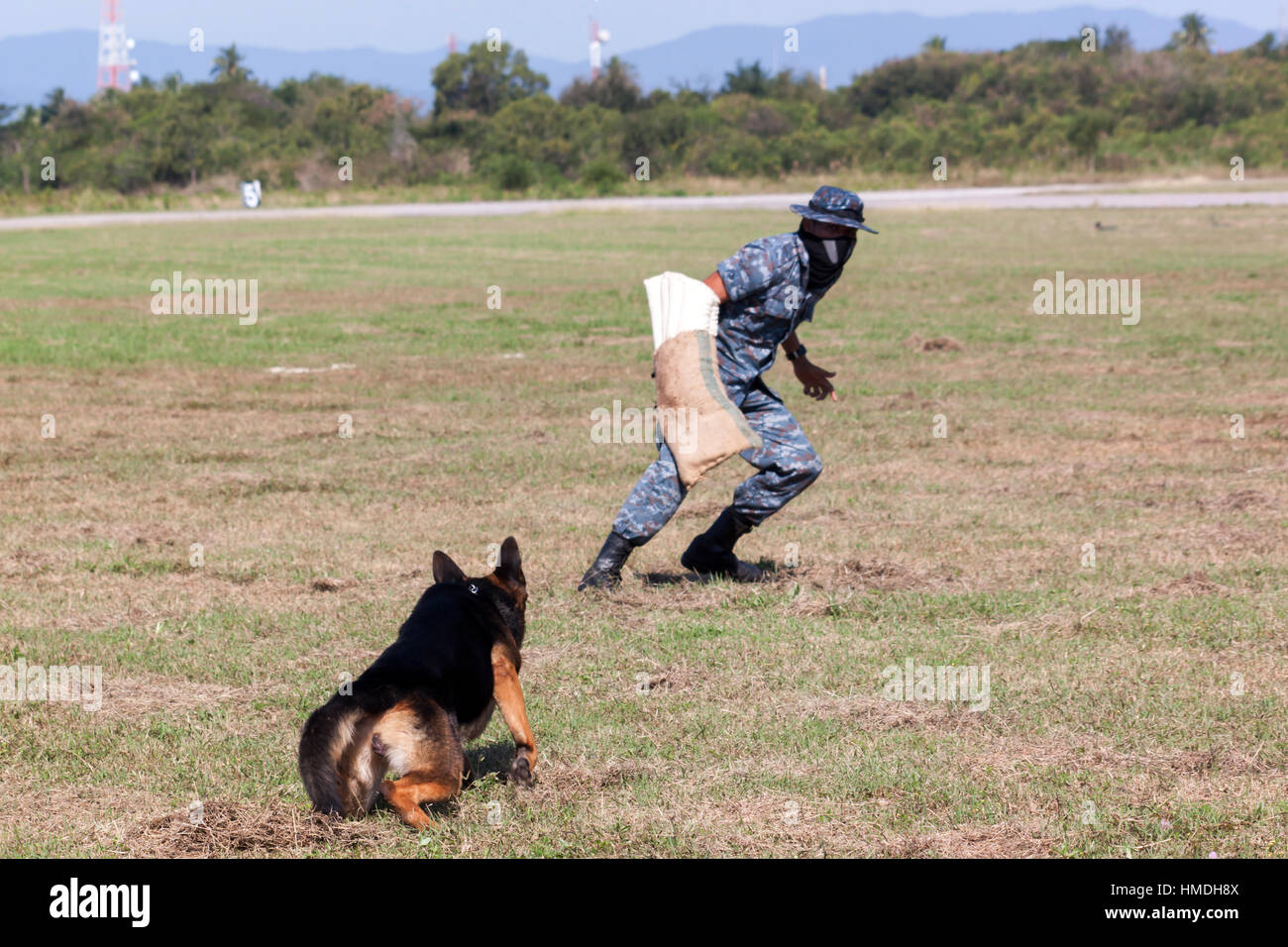 I soldati della K-9 cane unità lavora con il suo partner di durante una dimostrazione della formazione Foto Stock
