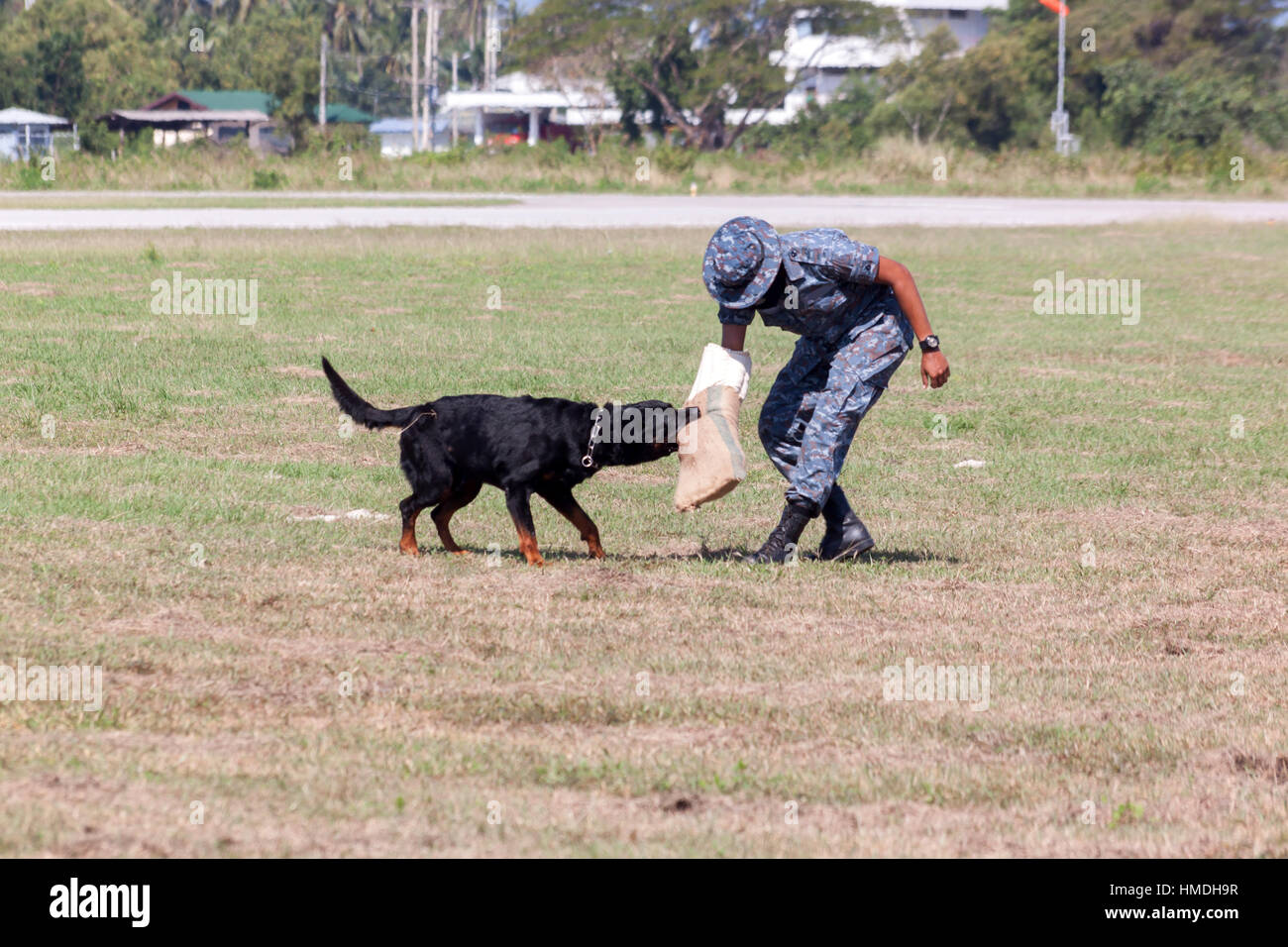 I soldati della K-9 cane unità lavora con il suo partner di durante una dimostrazione della formazione Foto Stock
