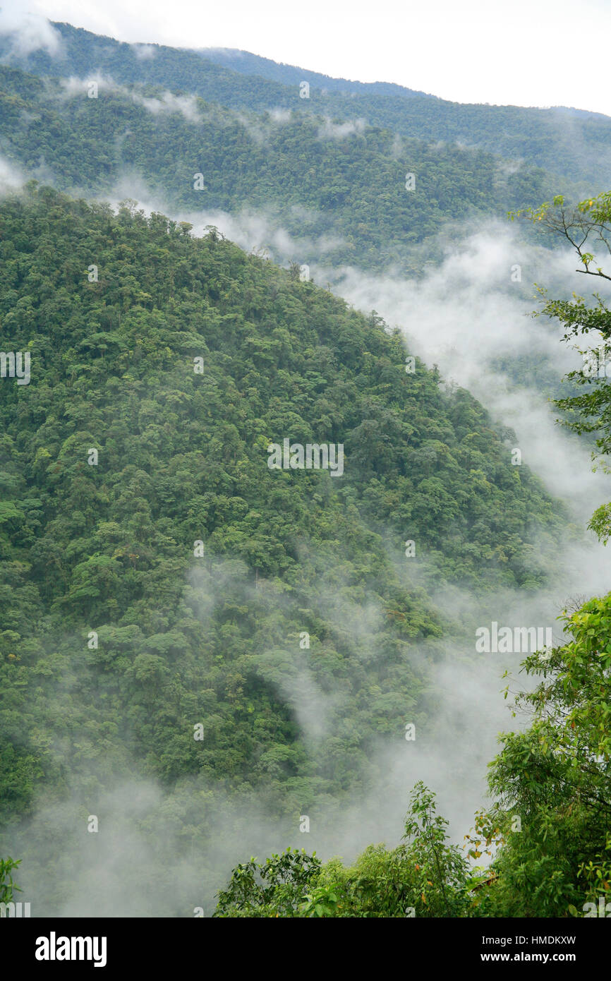 La foresta pluviale ,Braulio Carrillo National Park, Costa Rica. Foto Stock