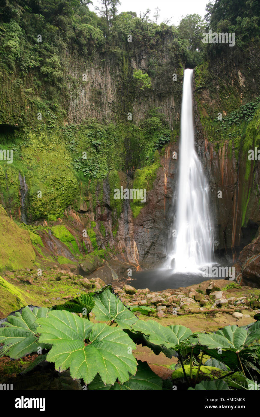 Del Toro cascata, vicino vulcano Poás, Costa Rica. Foto Stock
