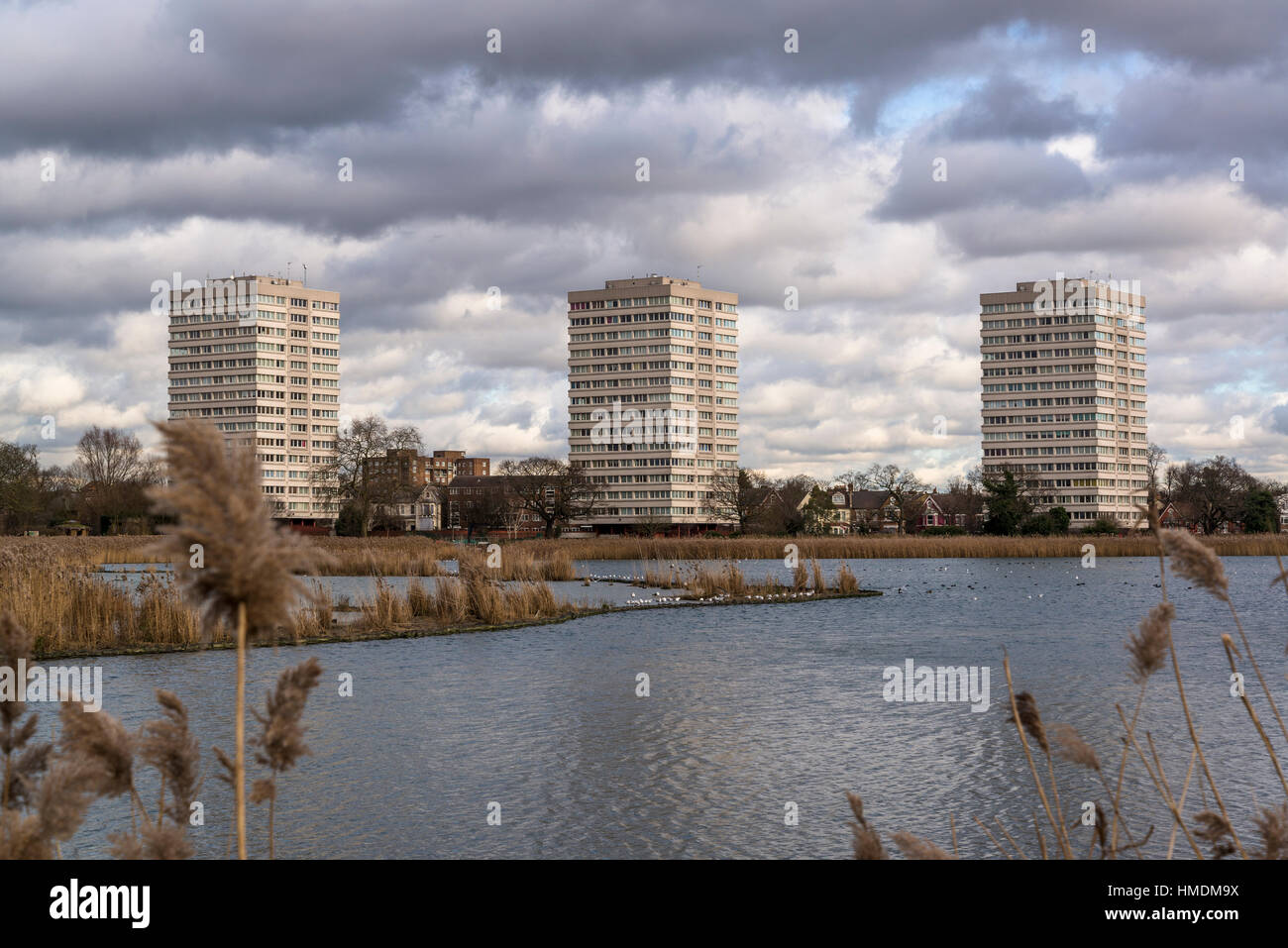 Woodberry Zone Umide Riserva Naturale, Finsbury Park, London Borough of Hackney, Londra, Inghilterra, Regno Unito Foto Stock