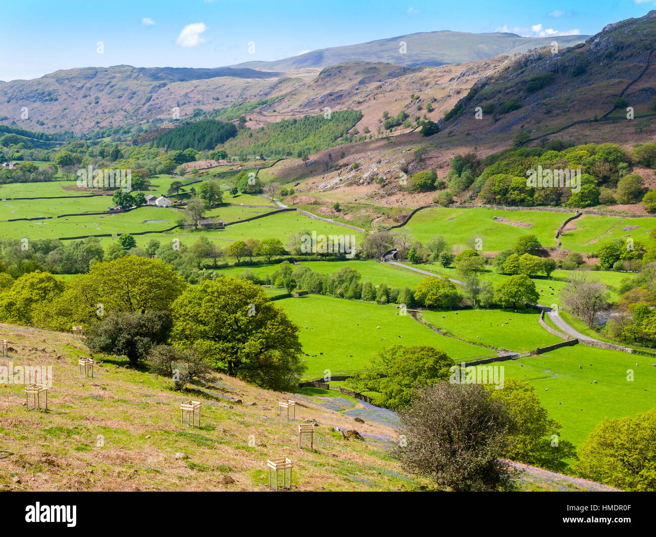 Eskdale, Parco Nazionale del Distretto dei Laghi Foto Stock